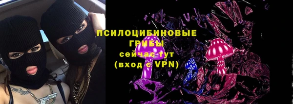 2c-b Беломорск