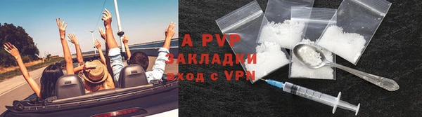 гидра Белокуриха