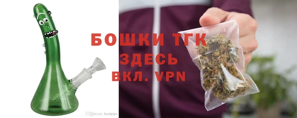 гашик Белоозёрский