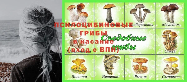 гашик Белоозёрский