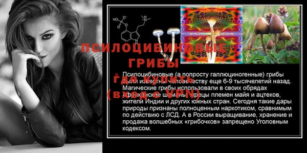 синтетический гашиш Богородск