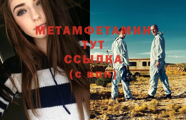 гидра Белокуриха