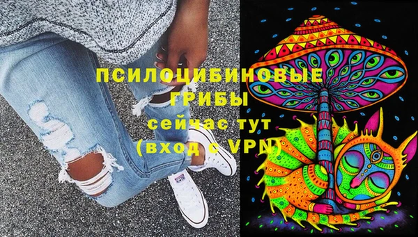 гидра Белокуриха
