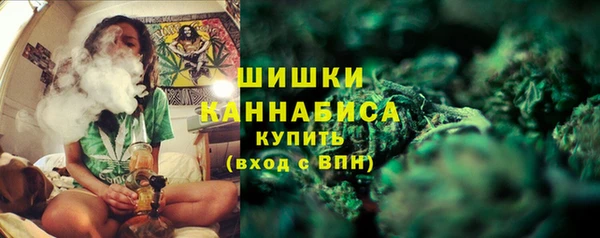 гашик Белоозёрский