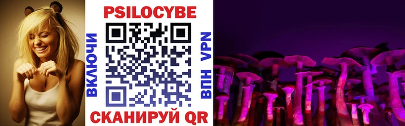 цены наркотик  Кизляр  Галлюциногенные грибы Psilocybe 